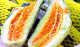 山东网红吃瓜事件,揭秘网络舆论的风暴与真相